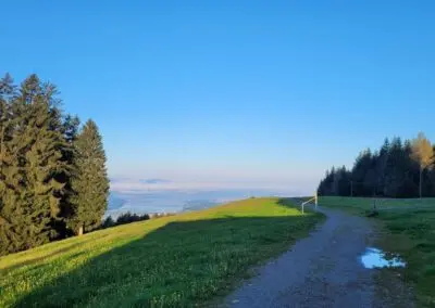 morgenstimmung-see-400x284